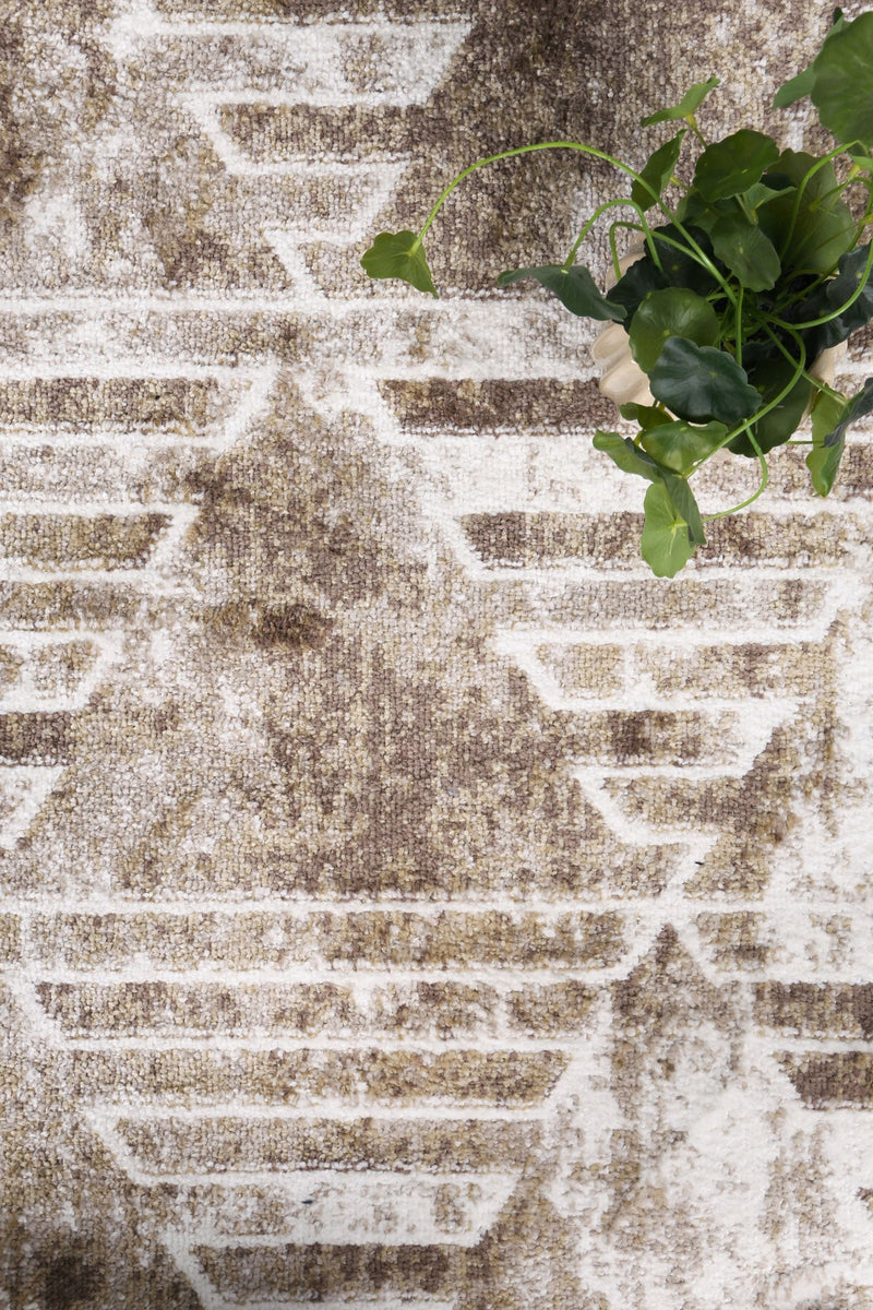 Windjana Transitional Geometric Latte Rug