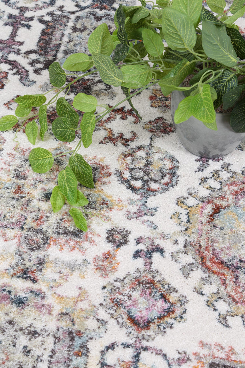 Windsor Boarder Cream Rug